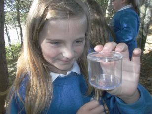 Science week in primary 4 and primary5